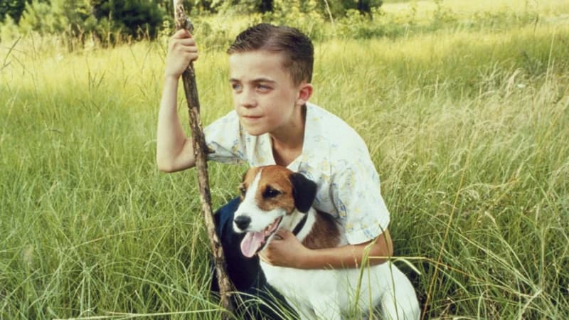 Köpeğim Skip (My Dog Skip) afişi