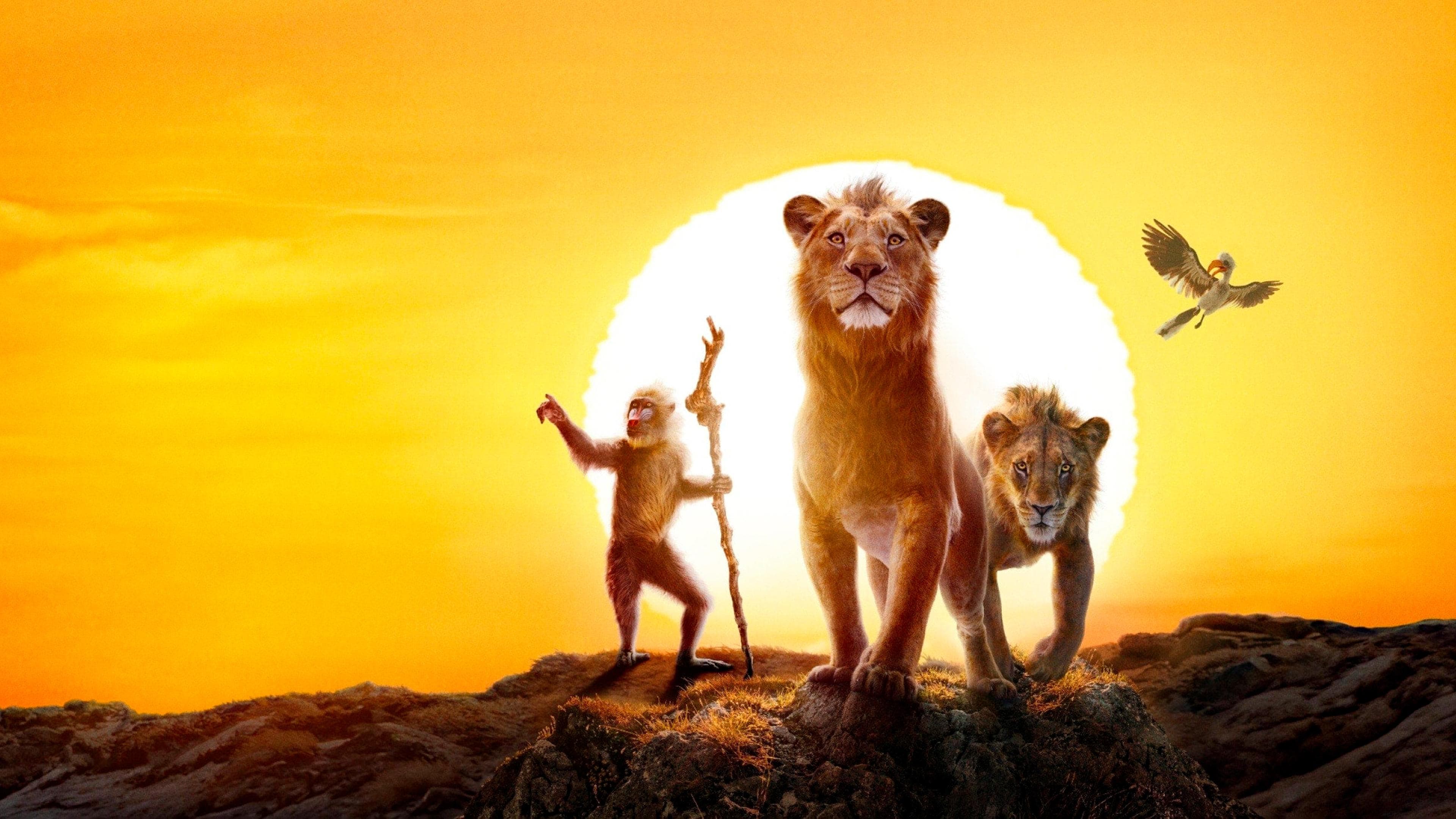 Mufasa: Aslan Kral afişi