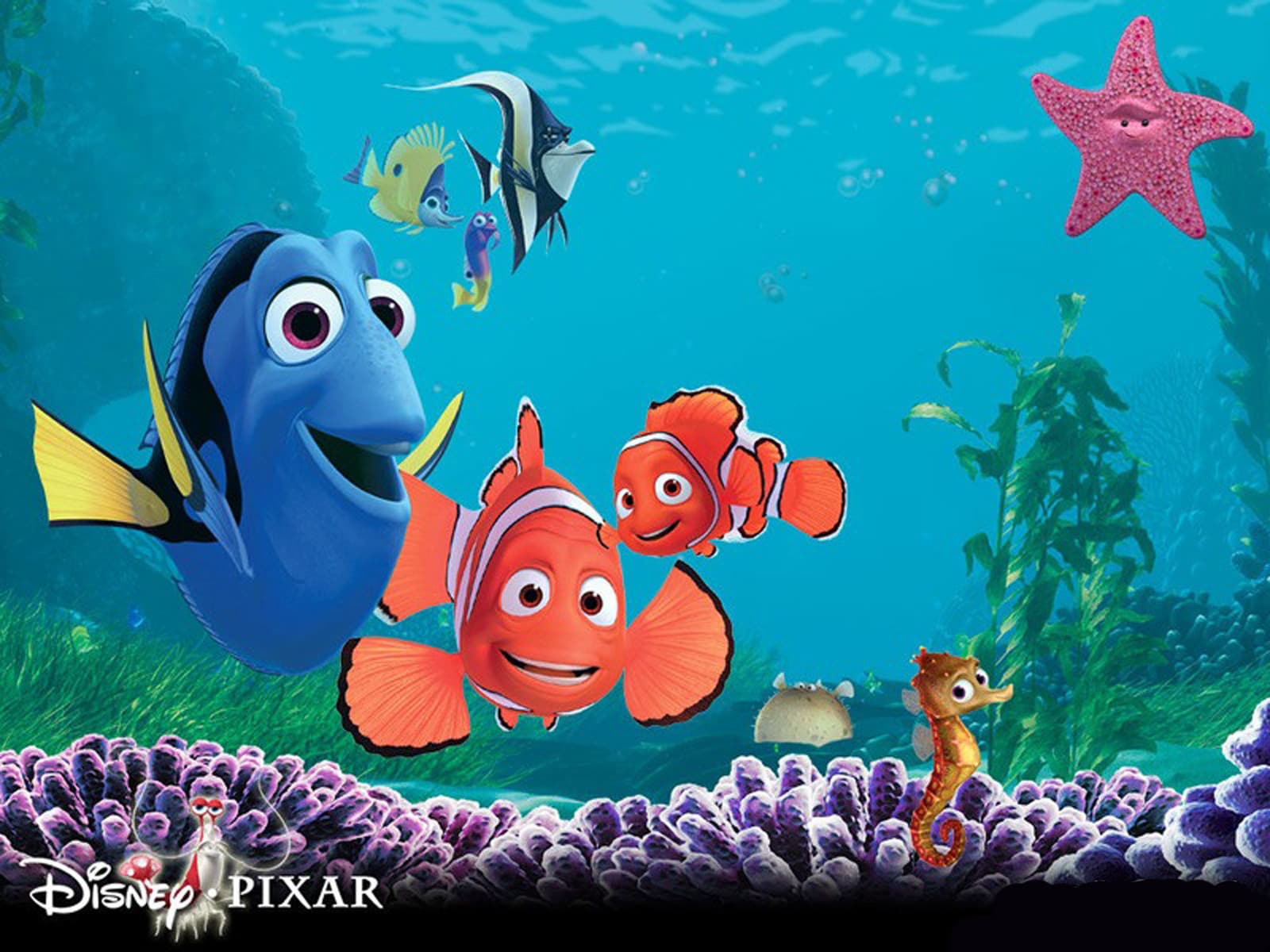Kayıp Balık Nemo afişi