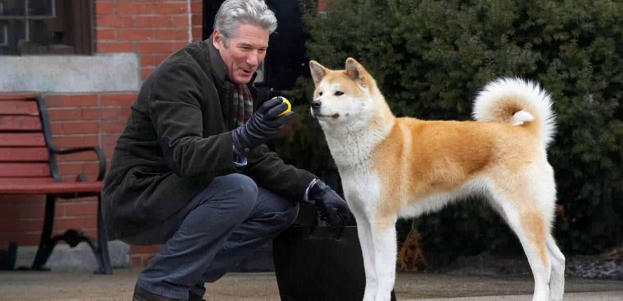 Hachi: Bir Köpeğin Hikayesi afişi