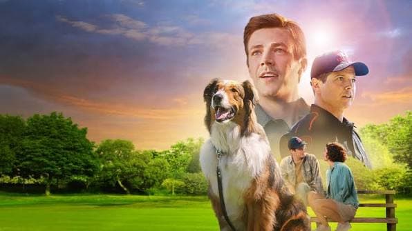 Kurtarma Köpeği Ruby afişi