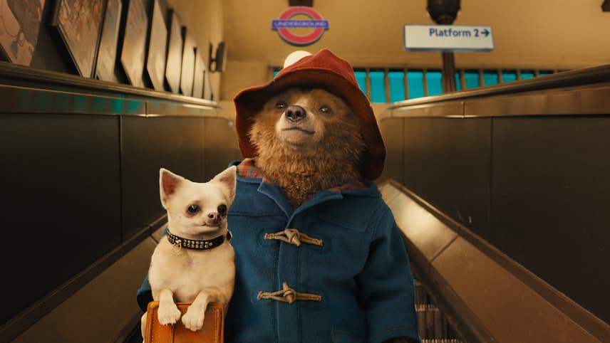 Ayı Paddington afişi